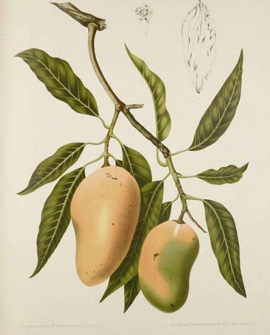 Issue number two/The Memory of Taste