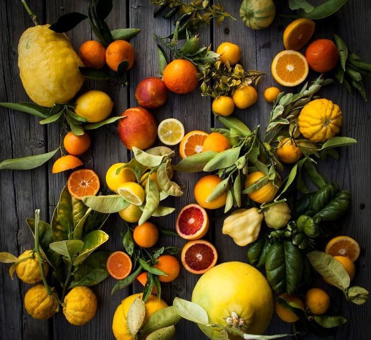 Issue number four/Citrus: A Family Portrait by David P