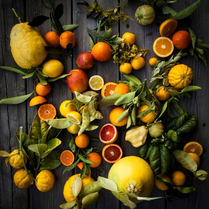 Issue number four/Citrus: A Family Portrait by David P