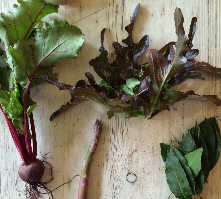 Issue number three/ A Farm of their Own by David Prior