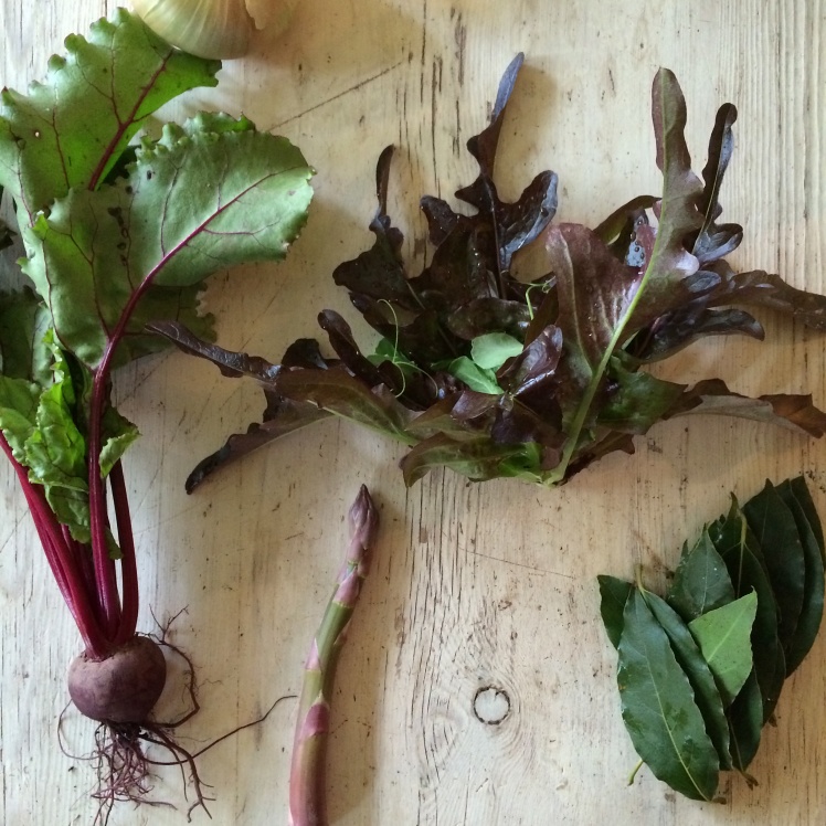 Issue number three/ A Farm of their Own by David Prior