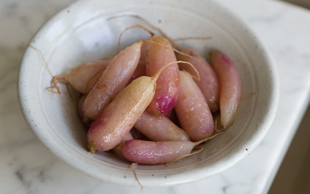 Monthly Recipe / Radishes poached in chicken stock